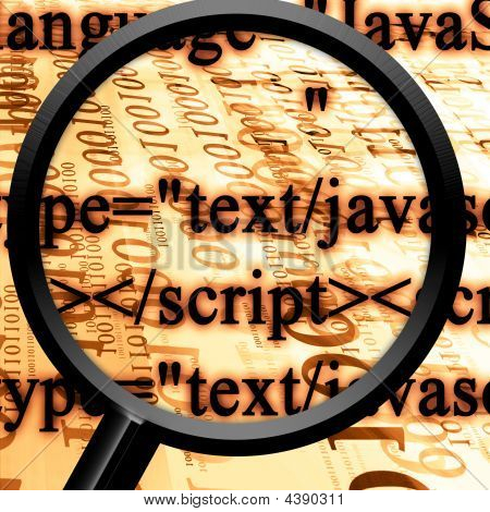JavaScript