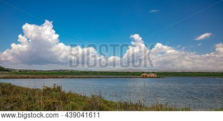 vendicari nature reserve in sicily