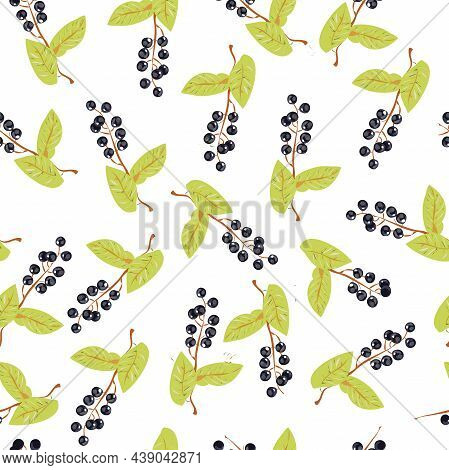 Vector Seamless Pattern With Birdcherry On White