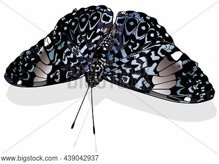Red Cracker - Beautiful Butterfly Hamadryas Amphinome Isolated On White Background, Vector Illustrat