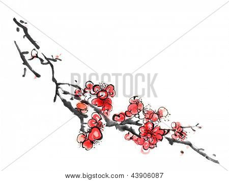 Chinese painting of flowers, plum blossom, on white background.