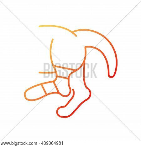 Pet Sprain Gradient Linear Vector Icon. Animal With Hurt Limb. Hips And Thighs Strains. Joints And B
