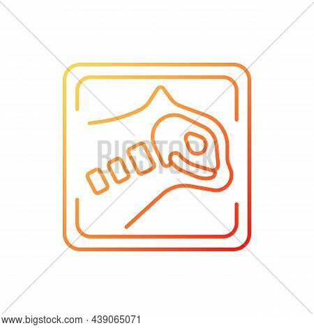 Pet X Rays Gradient Linear Vector Icon. Radiography Diagnostic Procedure. Tomographic Analysis. Pet 