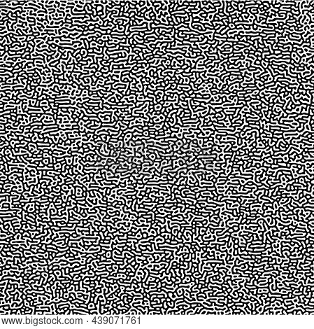 Turing Pattern. Reaction-diffusion Model. Chemical Bases Of Morphogenesis.