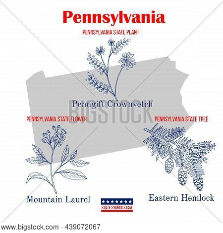 Pennsylvania. Set Of Usa Official State Symbols. Vector Hand Drawn Illustration