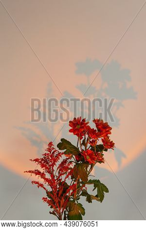 Beautiful Autumn Flowers In Orange Light Of Sunset Lamp In Cozy Home Interior. Fall Colors.