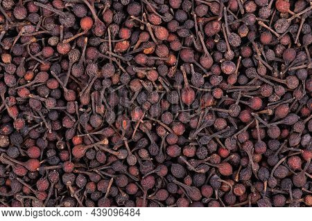 Bourbon Pepper Background. Voatsiperifery Or Bourbonese Piper. Madagascar Pepper. Top View.