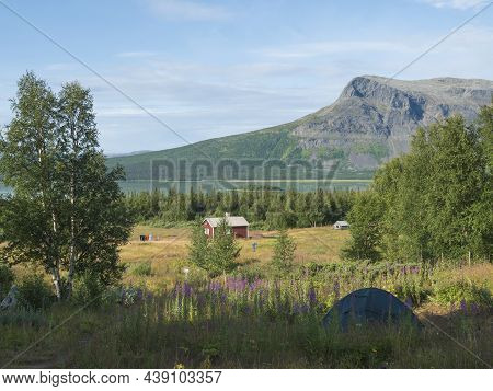 Camping Site Of Aktse Fjallstuga Stf Mountain Cabin With Small Tent, Hut, Pink Willowherb Fowers, La
