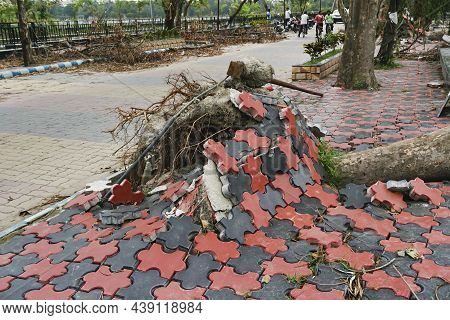 Howrah, West Bengal, India - 31st May 2020 : Super Cyclone Amphan Uprooted Tree And The Force Raised