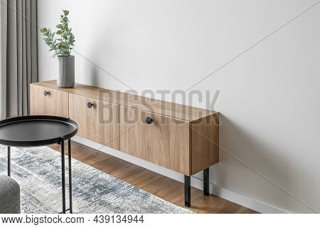 Dry Eucalyptus Branches In Modern Minimalist Grey Vase On Wooden Tv Stand. Coffee Table And Carper D