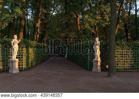 Sankt-peterburg, Russia - August 20, 2021: Beautiful Shady Alleys With Benches And Sculptures In Sum