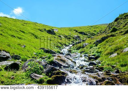 A Mountain River Flowing On Top Of Mount Suru In Carpathian Mountains, Transylvania, Romania