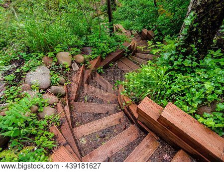 Wooden Steps In The Woods - A Springtime Scene At Minto Park - Near Gates, Or