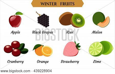 Winter Fruits Collection, Fruit Vector Illustration Set.