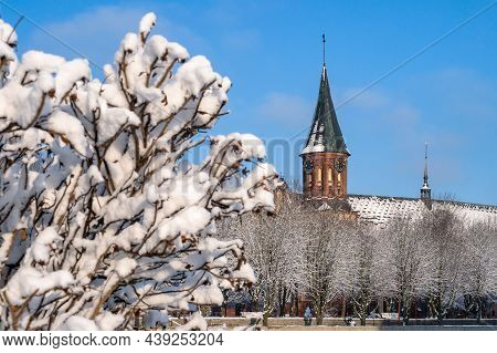 Kaliningrad, Russia, January 29, 2021. Kaliningrad Cathedral. The Historical Center Of The City. The