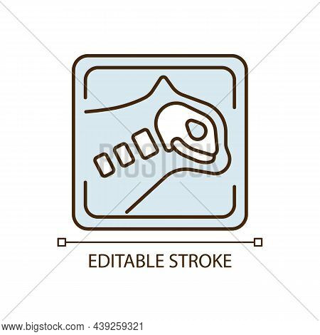 Pet X Rays Rgb Color Icon. Radiography Diagnostic. X Ray Machine For Animals. Tomographic Analysis. 
