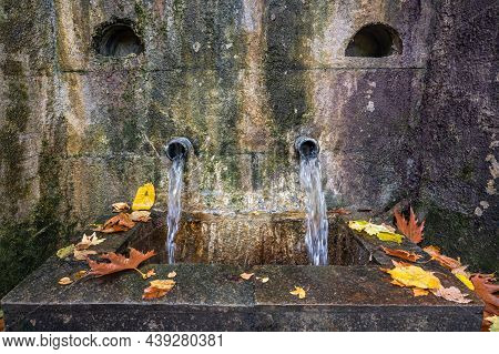 Spring Water Fountain Autumn Yellow Orange Leaves