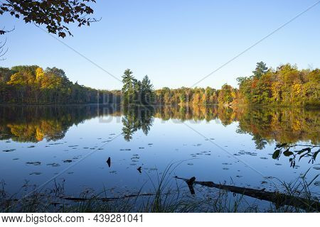 Calm Lake Wide View With An Island And Trees In Fall Color At Dawn