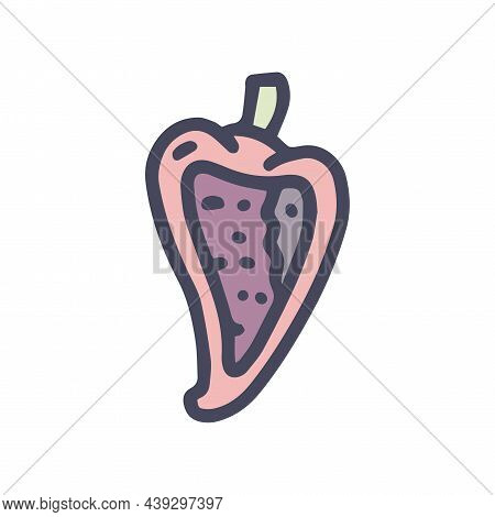 Chilli Stuffed Poblano Peppers Color Vector Doodle Simple Icon