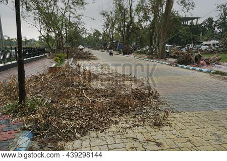 Howrah, West Bengal, India - 31st May 2020 : Super Cyclone Amphan Uprooted Tree Which Fell And Block