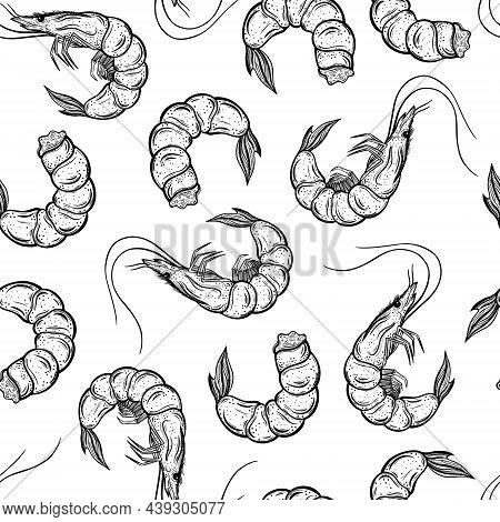Fresh Shrimps Seamless Vector Pattern. Hand Drawn Doodle. Seafood Sketch. Shell-on Marine Animals, P
