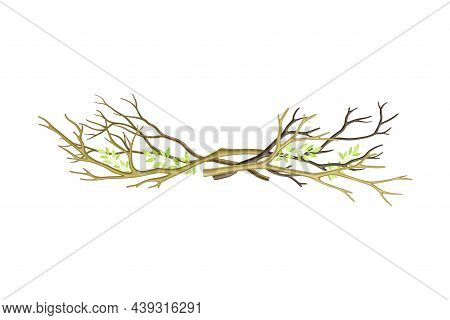 Pile Of Bare Tree Branch Rested Together Vector Illustration