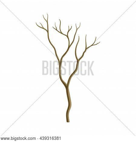 Bare Tree Branch Or Twigs With Naked Stem And Snag Vector Illustration