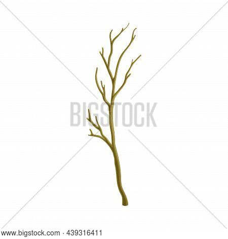 Bare Tree Branch Or Twigs With Naked Stem And Snag Vector Illustration