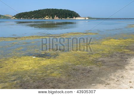 Narta ラグーンや Zvernec 島、アルバニアの水