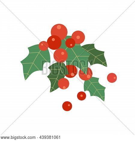 Christmas Winterberry Plant Holly Berries Vector Icon. Holly Evergreen Plant Simple Minimalist Desig