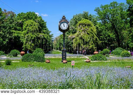Bucharest, Romania, 9 May 2021: Large Green Trees, Leaves, Vintage Clock And Small Blue Forget Me No