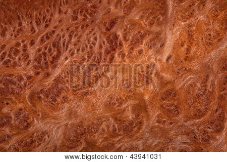 Closeup imagen de textura de madera natural