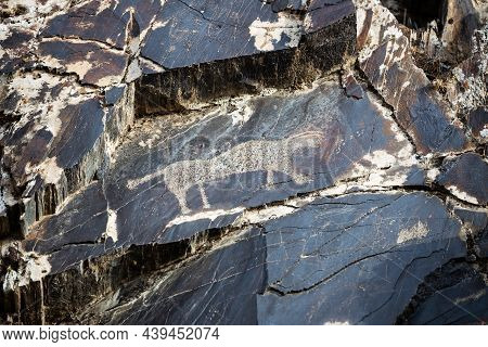 Ancient Rock Carvings Petroglyphs In The Sarmysh Gorge, Nurata Mountain Range, Uzbekistan