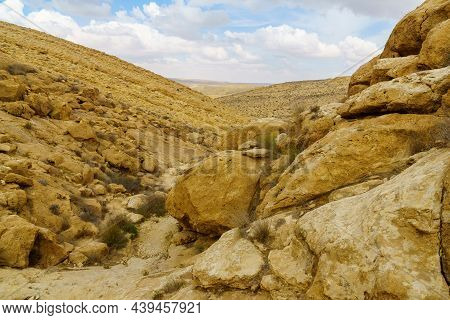 View Of A Wadi (desert Valley) Landscape In Yeruham Ridge, The Negev Desert, Southern Israel