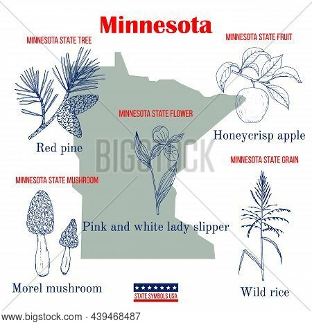 Minnesota. Set Of Usa Official State Symbols. Vector Hand Drawn Illustration