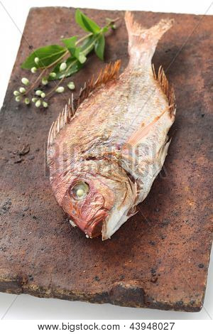 붉은 도미 구이 소금, 타이 아니 시오 야 키, 일본 요리