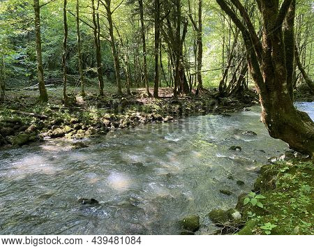Curak Stream Near The Zeleni Vir Picnic Area In Gorski Kotar - Vrbovsko, Croatia (potok Curak Kod Iz