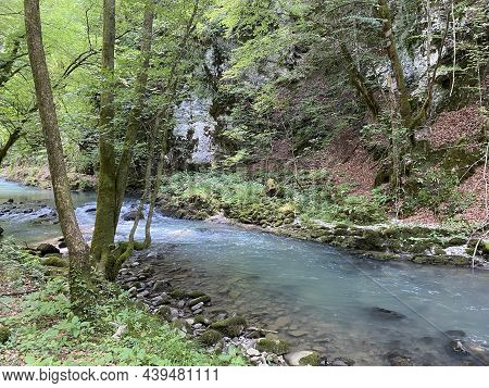 Curak Stream Near The Zeleni Vir Picnic Area In Gorski Kotar - Vrbovsko, Croatia (potok Curak Kod Iz