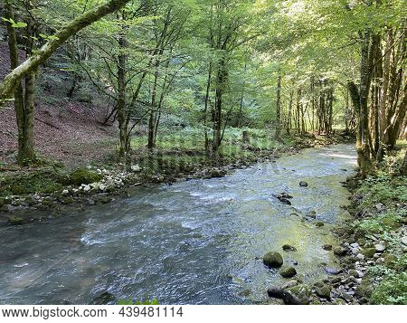 Curak Stream Near The Zeleni Vir Picnic Area In Gorski Kotar - Vrbovsko, Croatia (potok Curak Kod Iz