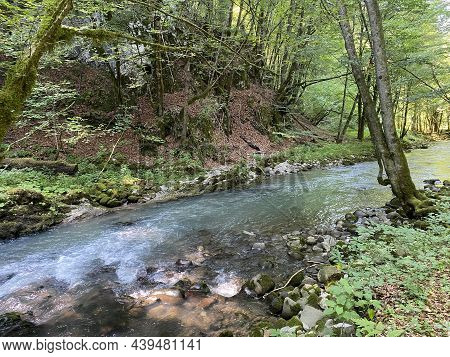 Curak Stream Near The Zeleni Vir Picnic Area In Gorski Kotar - Vrbovsko, Croatia (potok Curak Kod Iz