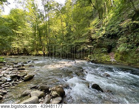 Curak Stream Near The Zeleni Vir Picnic Area In Gorski Kotar - Vrbovsko, Croatia (potok Curak Kod Iz