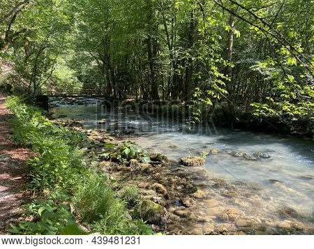 Curak Stream Near The Zeleni Vir Picnic Area In Gorski Kotar - Vrbovsko, Croatia (potok Curak Kod Iz