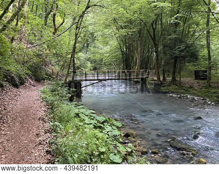 Promenade Along The Curak Stream Near The Zeleni Vir Picnic Area In Gorski Kotar - Vrbovsko, Croatia
