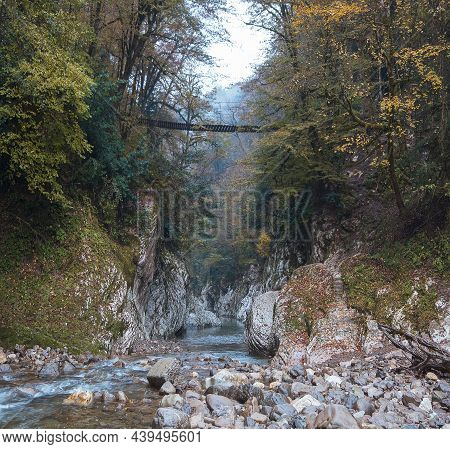 Suspension Bridge Over Yew Boxwood Grove, Gorge Of Devil Gate, In The City Of Sochi, Krasnodar Regio