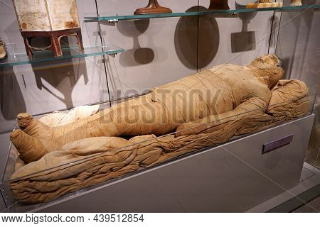 Turin, Italy - August 19, 2021: Mummy In A Lying Position. Mummification Of One Body During The Egyp