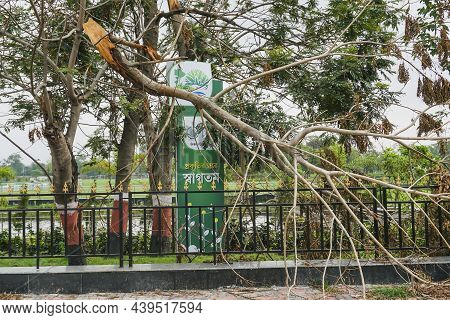 Howrah, West Bengal, India - 31st May 2020 : Super Cyclone Amphan Uprooted Tree Which Fell And Block