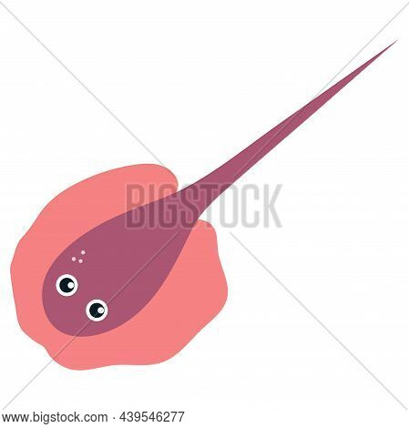 Beautiful Cartoon Illustration With Colorful Sea Animals Pink Stringray On White Background For Prin