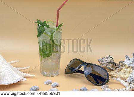 Sea Shell Isolated On Pink Background. Summer Sea Background - Shells And Corals On A Blue Backgroun