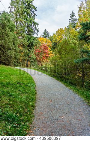 A Path At The Wasington Park Arboretum In Seatle. It Is The Fall Season.