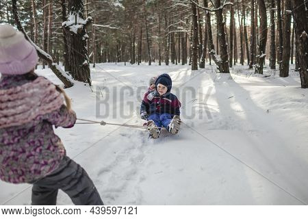 Happy Friends Have Fun In Wonderland, Little Girl Pulls A Sledge With Sister And Brother Across Snow